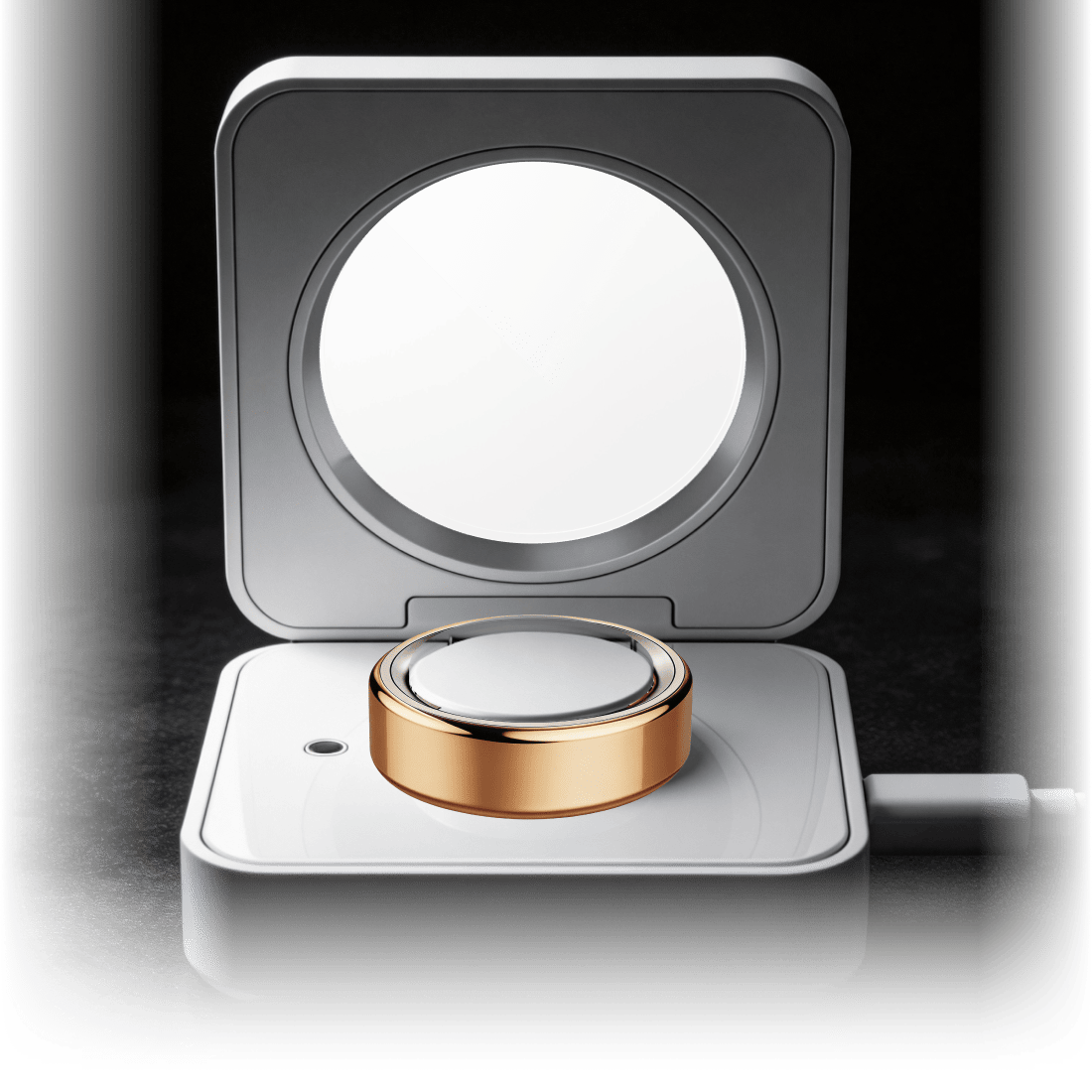 Seelife Ring and charging case